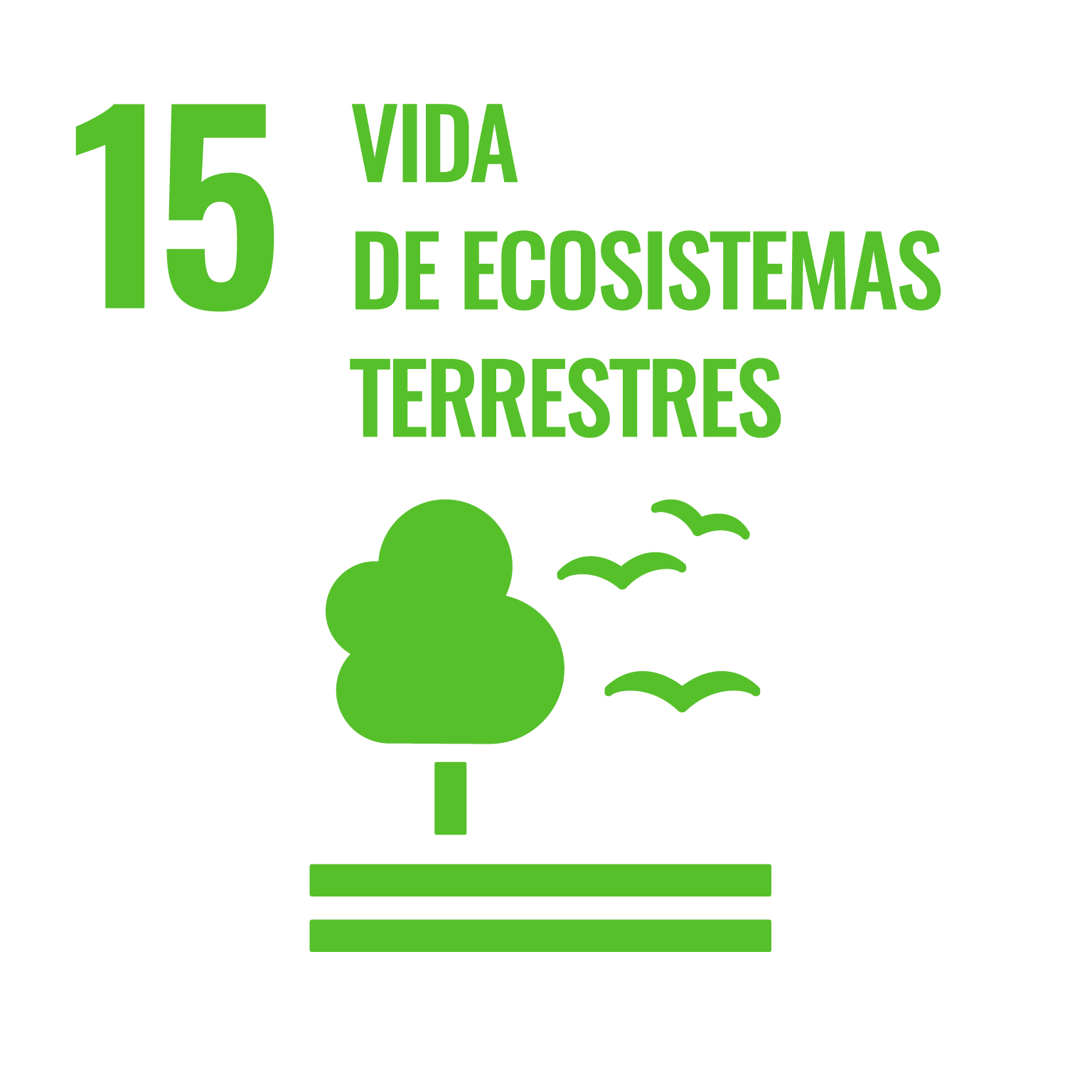 ODS 15 con jardines verticales